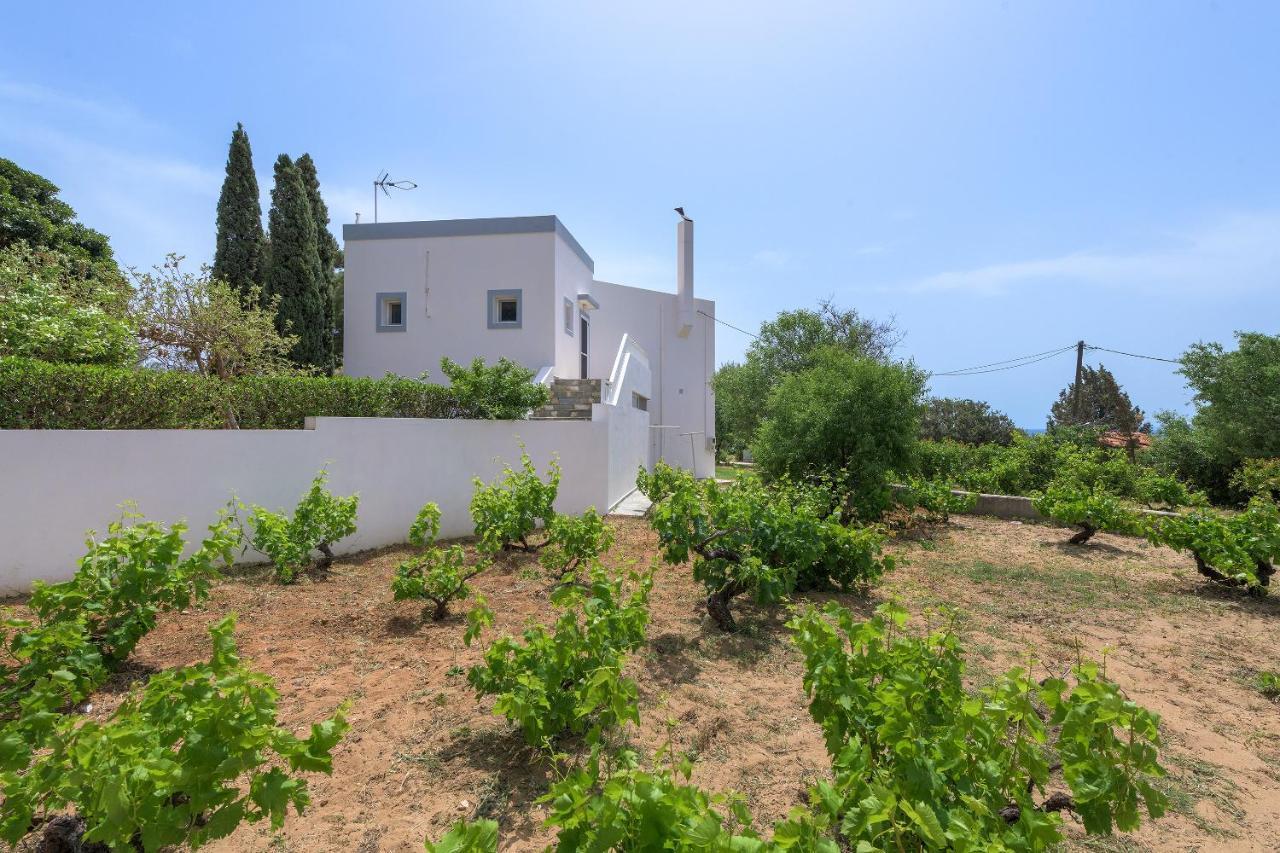Villa Evelyn Pefki Exteriör bild